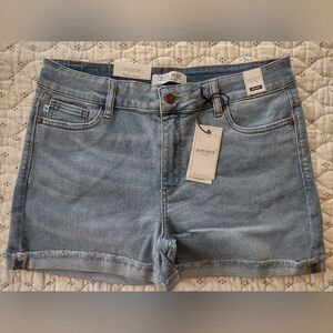 Judy Blue Light Blue Jean Shorts